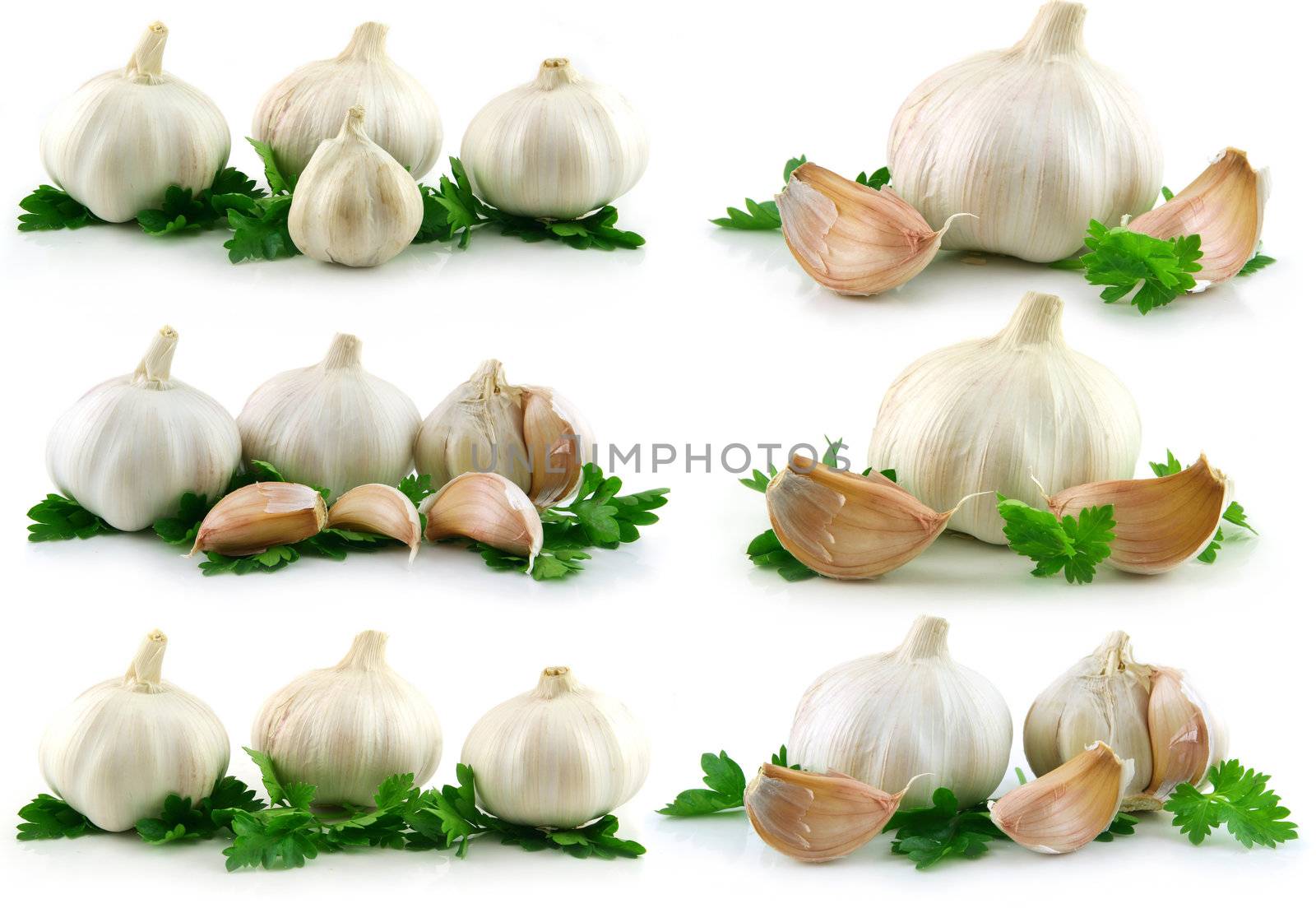 Collection of Garlic Vegetable with Green Parsley Leaves Isolated on White Background