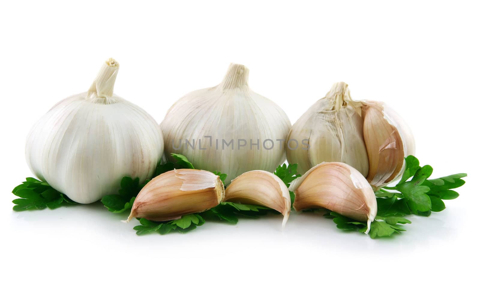 Garlic Vegetable with Green Parsley Leaves Isolated on White Background