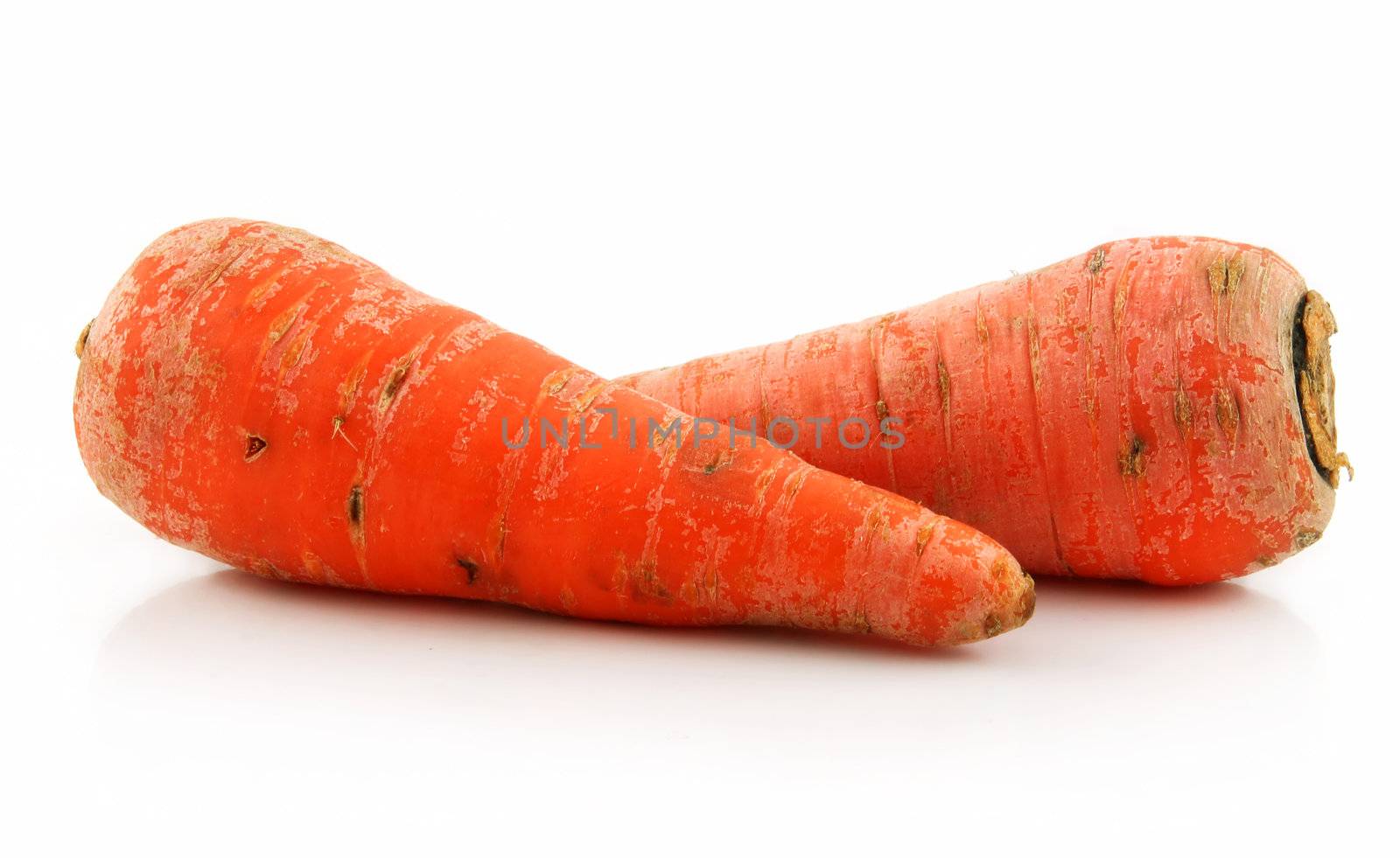 Ripe Carrot Isolated on White Background