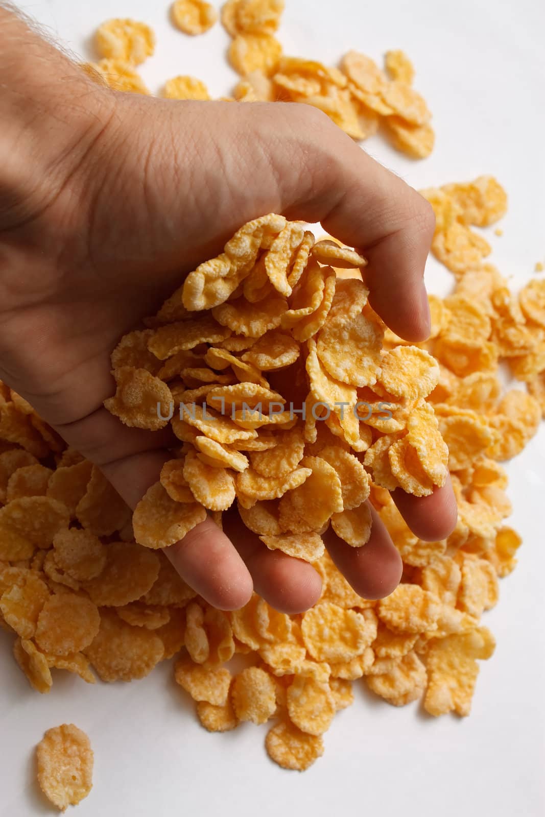 corn flakes with milk in bowl