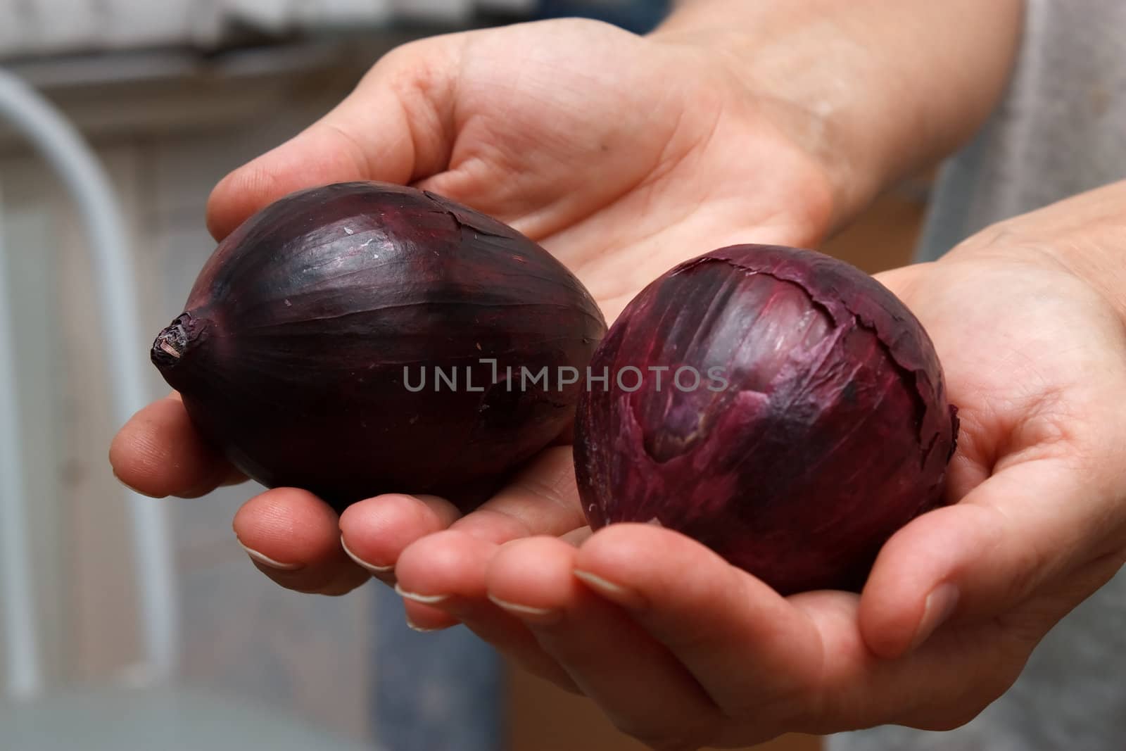 The two onion in hands.