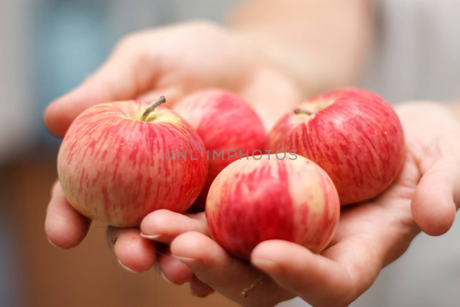 Four fruit  in hands on smoothness background.