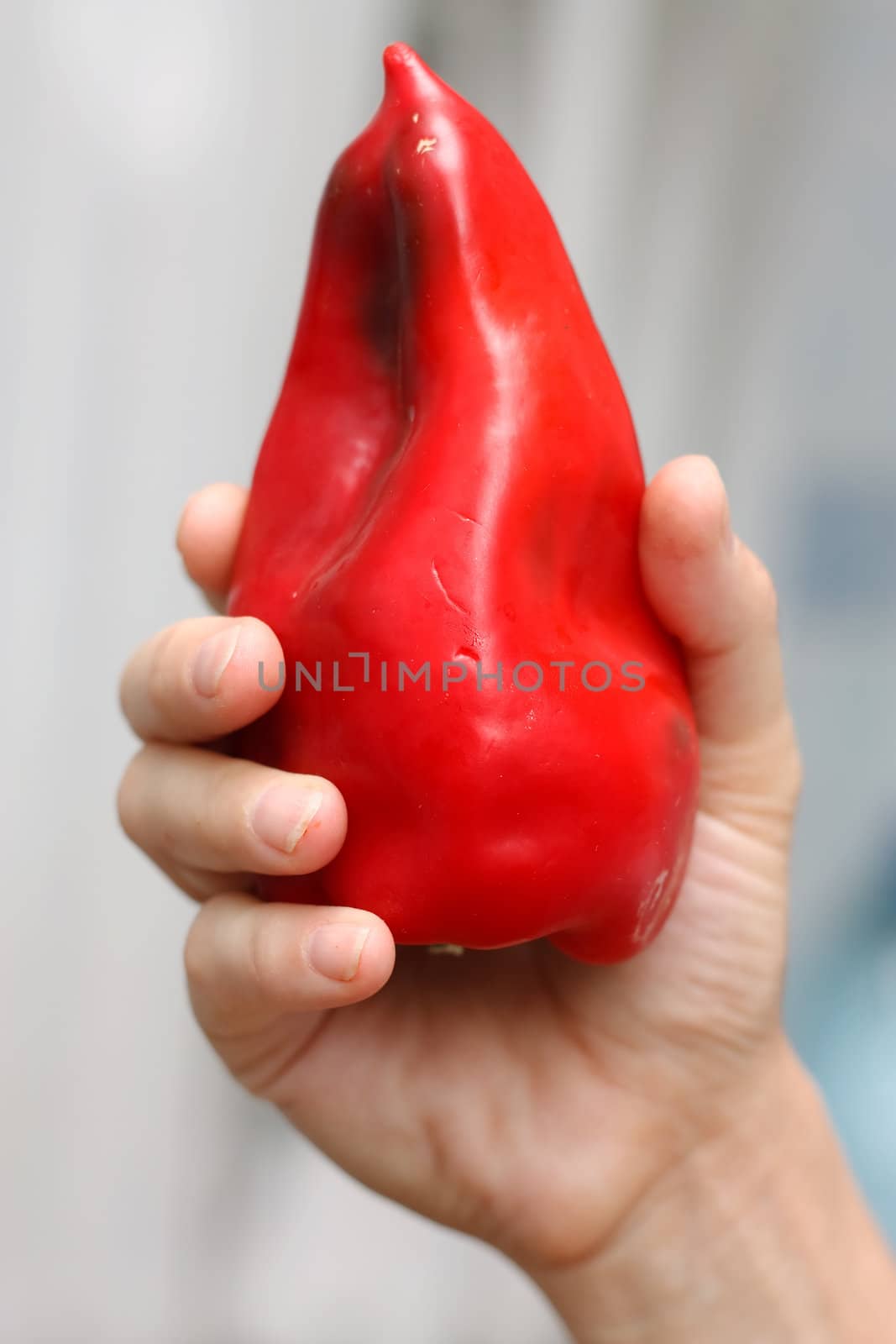 The one pepper in one hand.