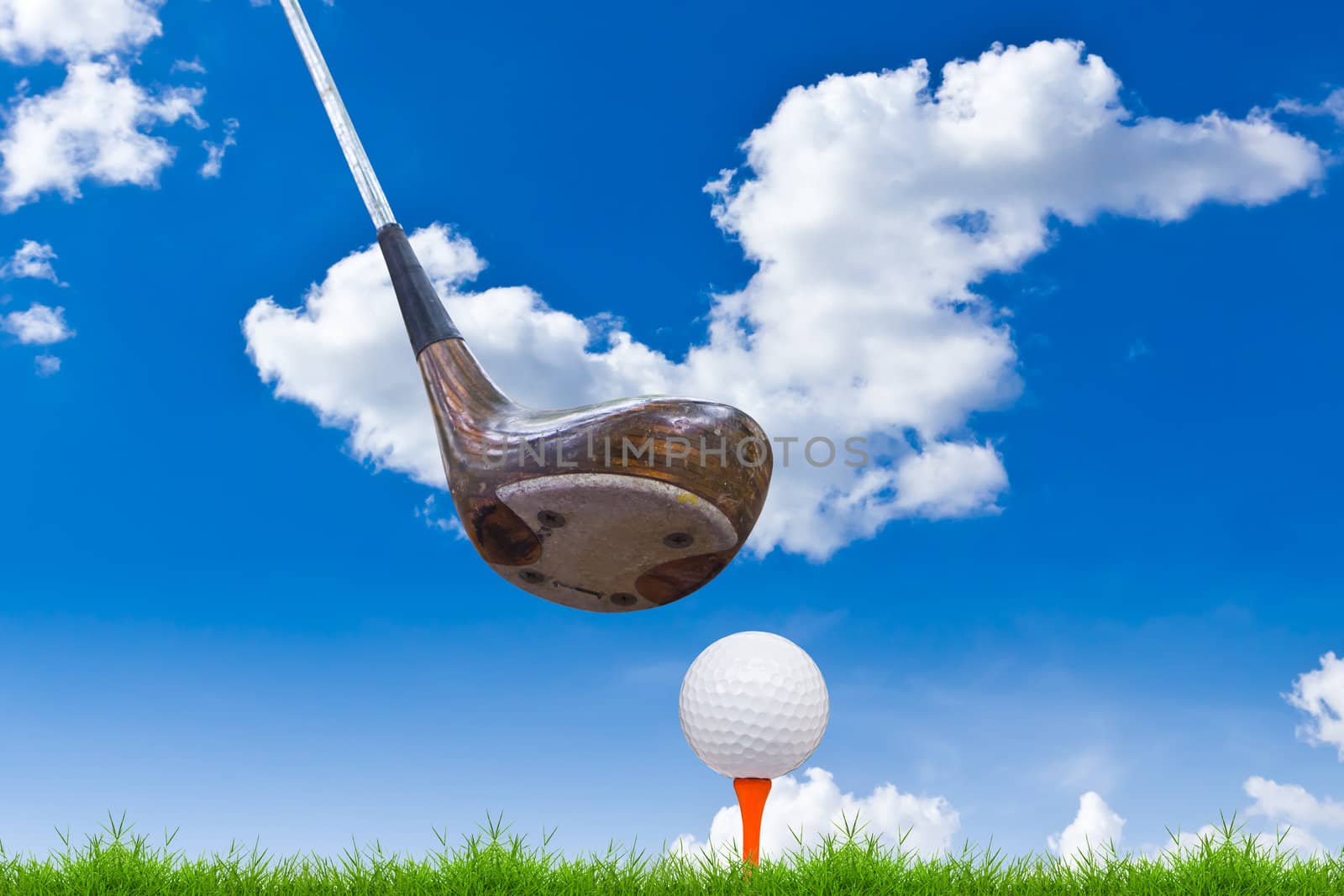 golf ball and driver on green grass by tungphoto