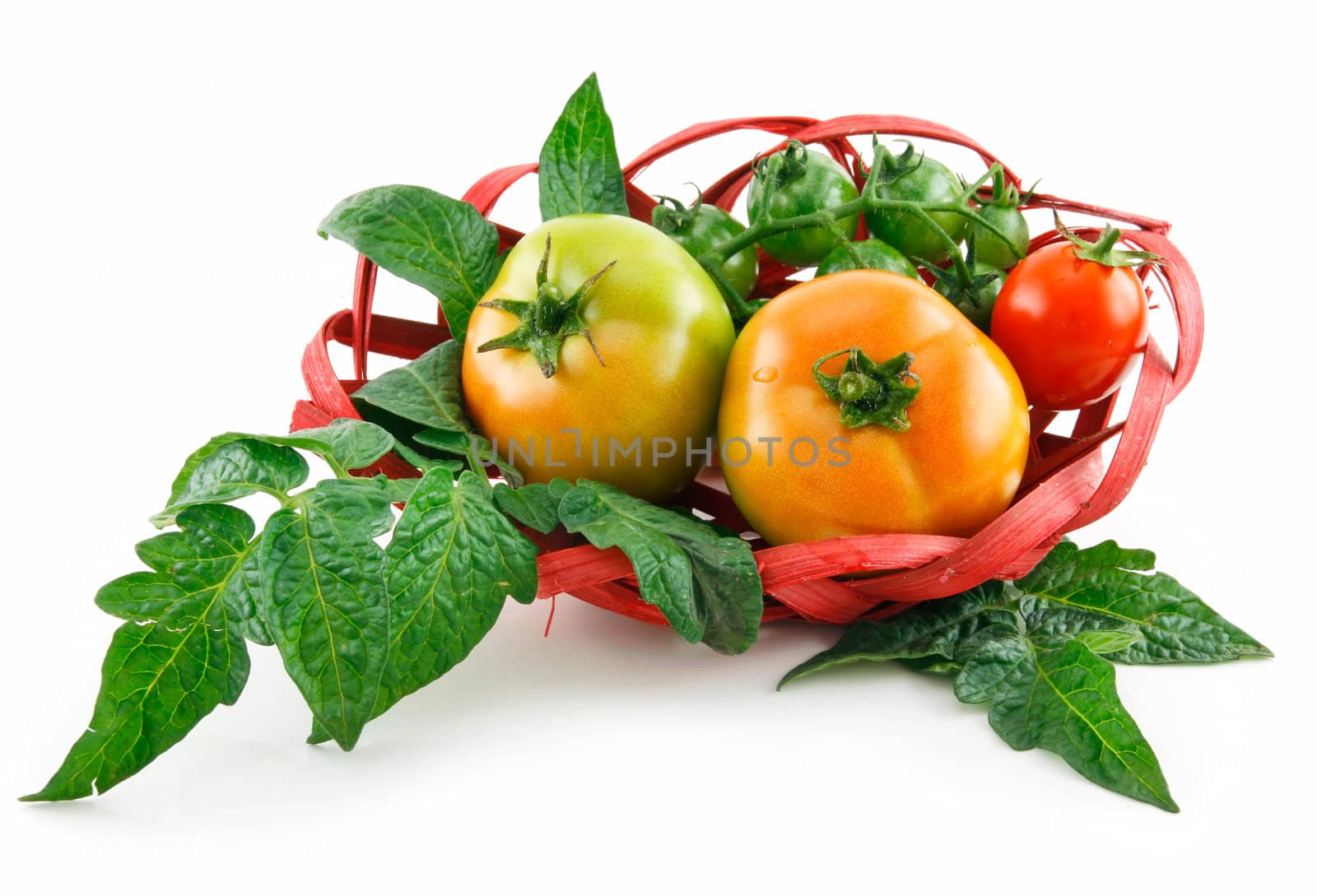 Basket with Ripe Tomatoes (Still Life) Isolated on White Background