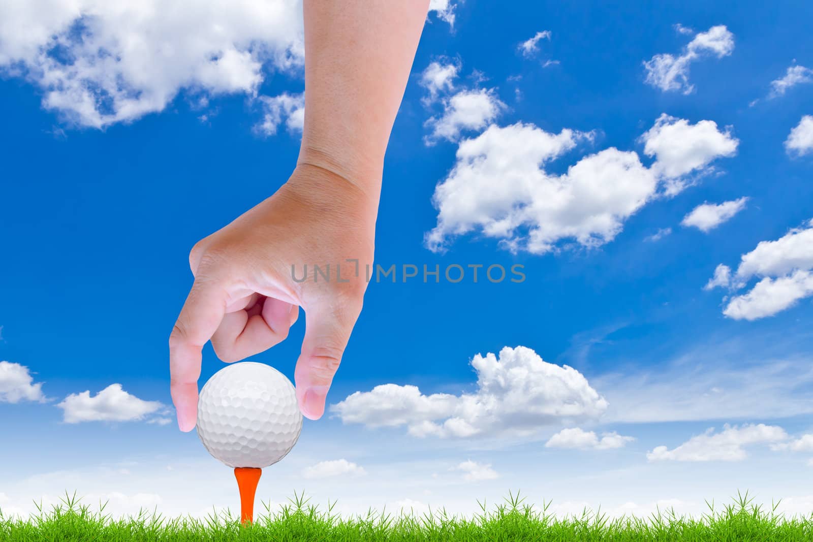 hand put golf ball on tee by tungphoto