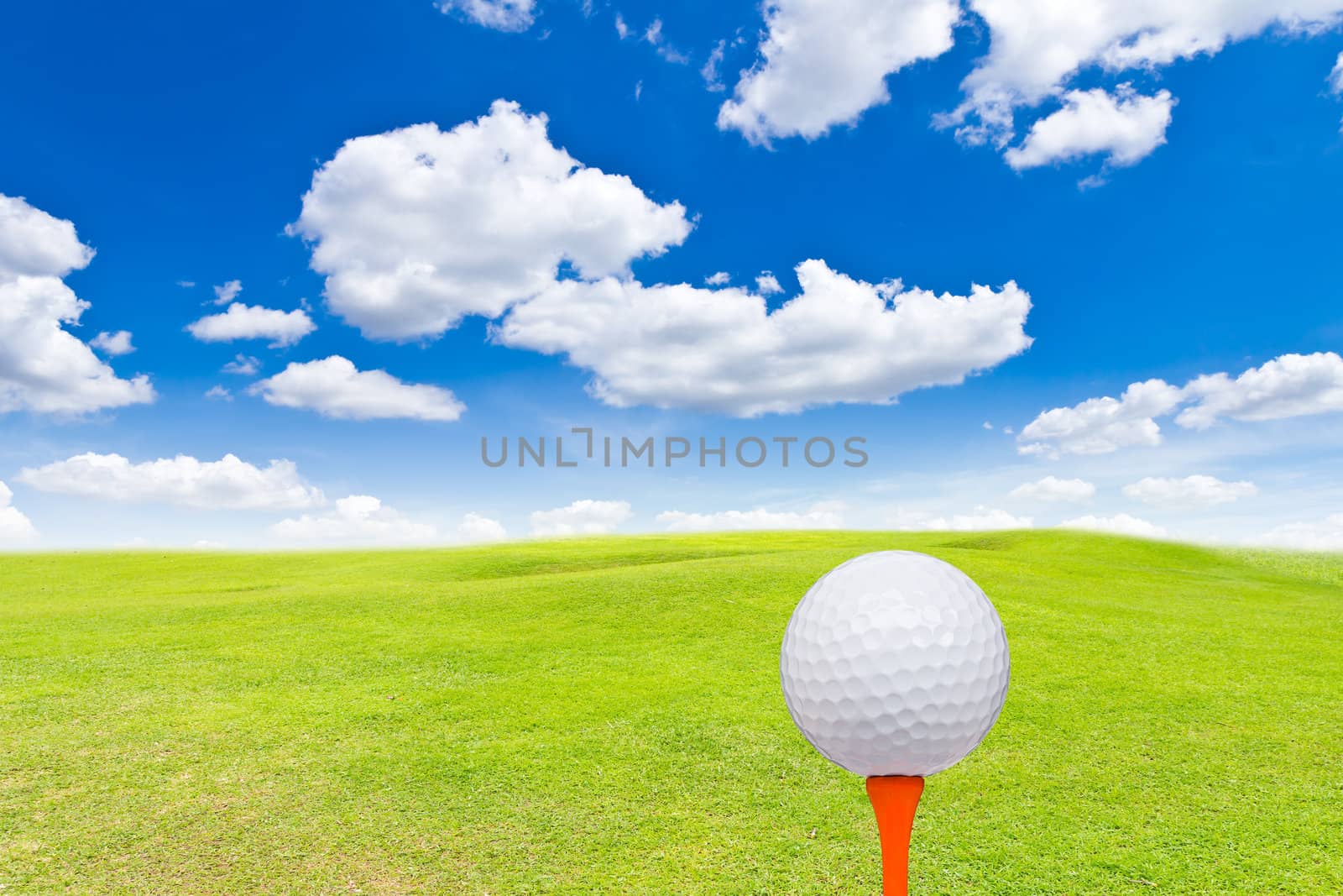 golf ball and tee on green grass by tungphoto