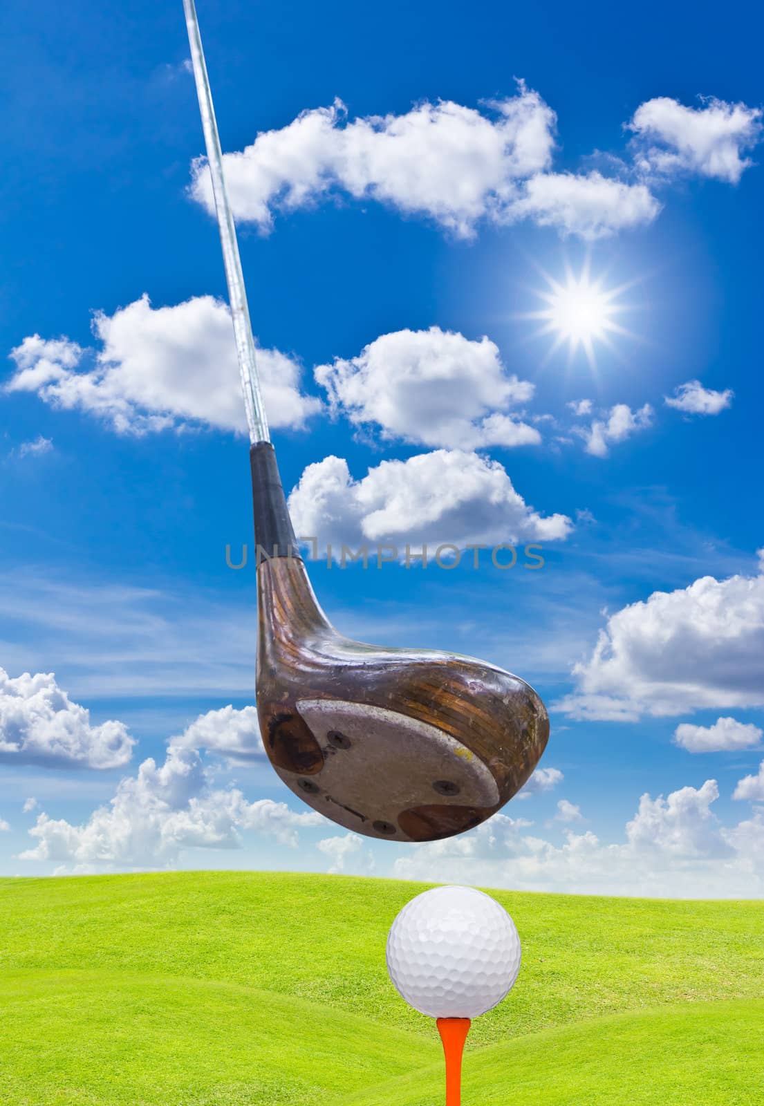 golf ball and driver on green grass by tungphoto
