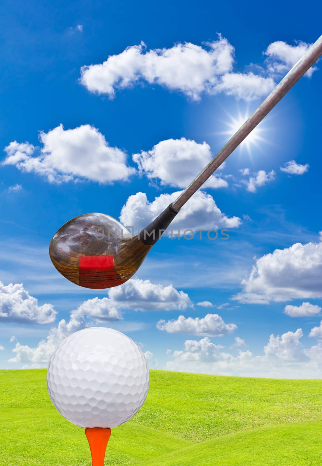 golf ball and driver on green grass by tungphoto