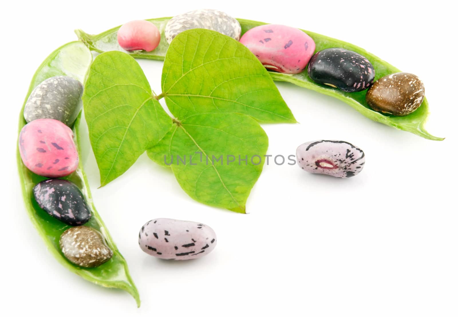 Ripe Haricot Beans with Seed and Leaves Isolated on White by alphacell