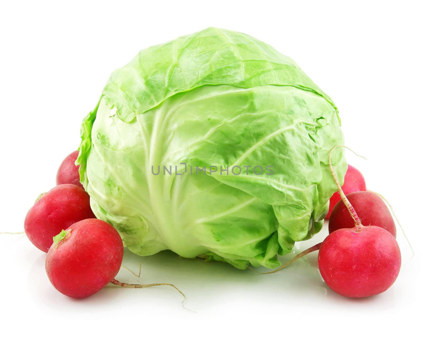 Ripe Cabbage and Radishes Isolated on White Background