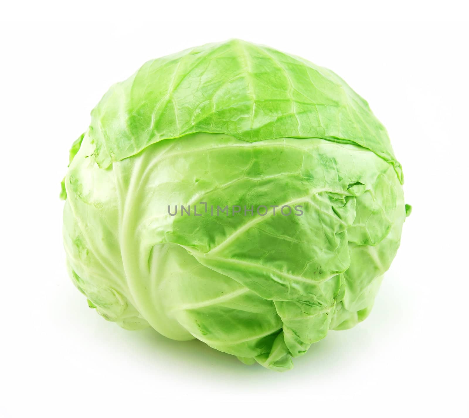 Ripe Green Cabbage Isolated on White Background