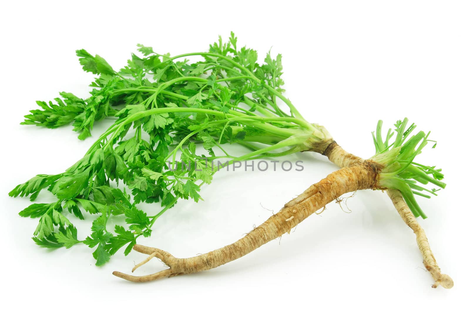 Ripe Green Parsley Isolated on White by alphacell