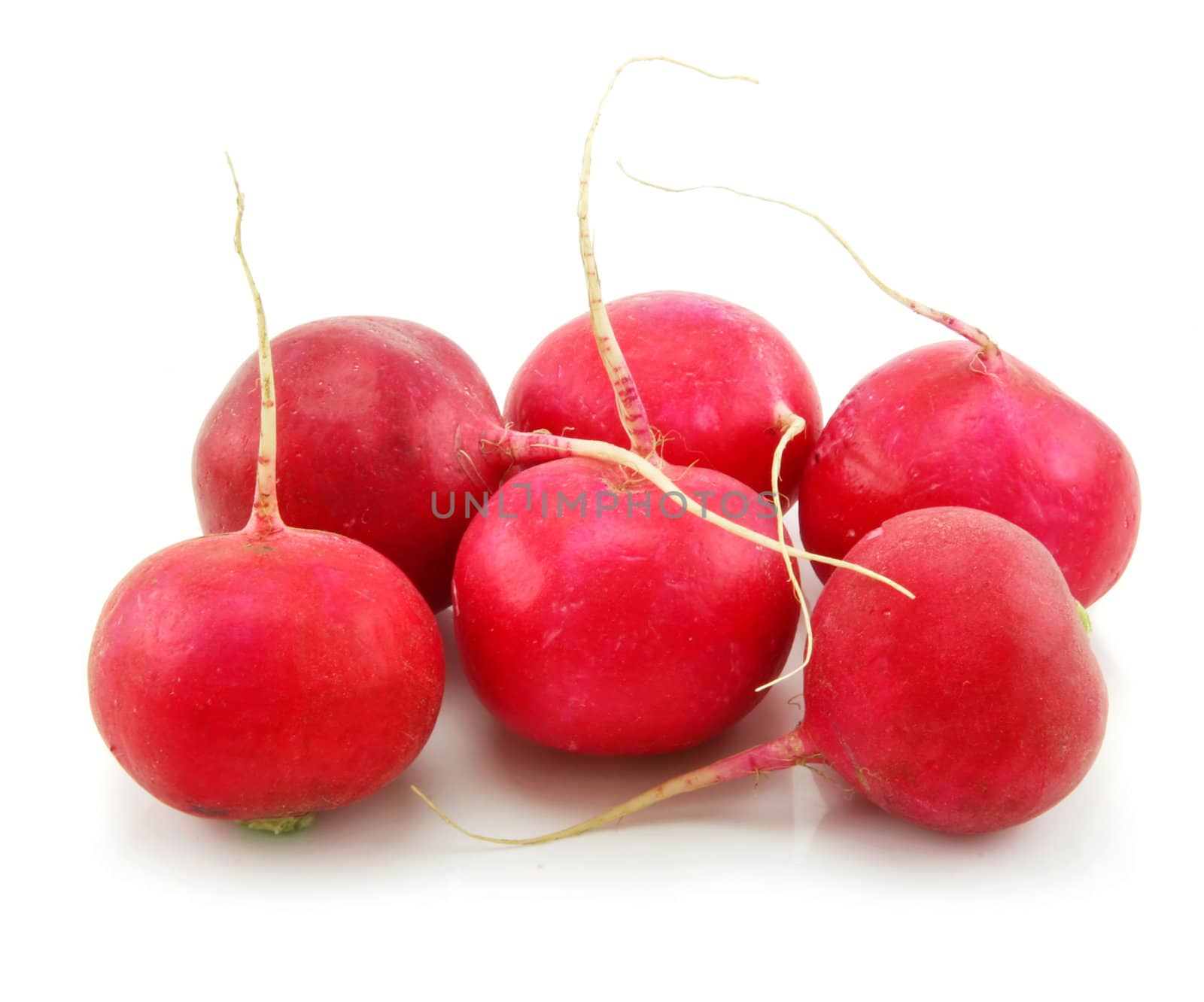 Ripe Red Radishes Isolated on White Background