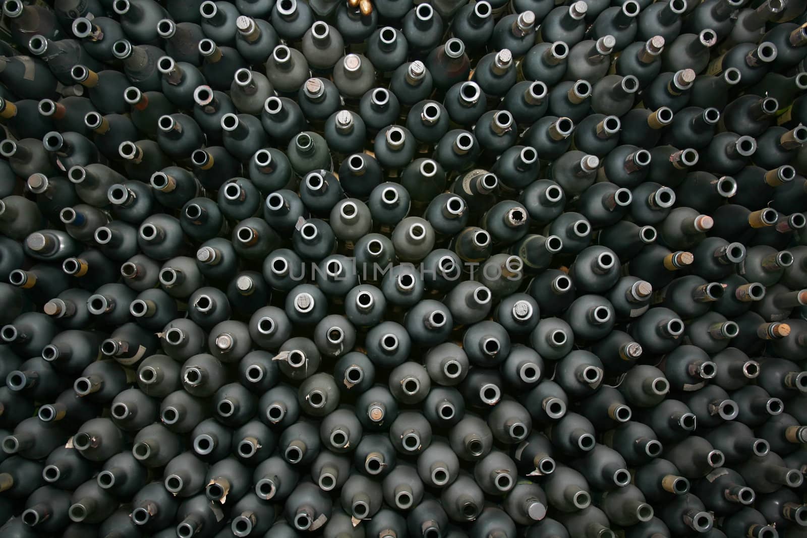 Close up shot of a wine cellar