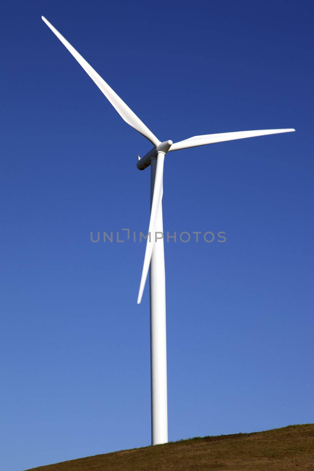 Wind energy, wind turbine in a field Washington state.  by Rigucci