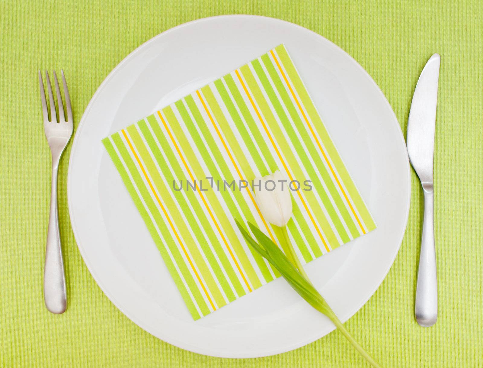 Set Table With Fork, Knife and Tulip on White Plate