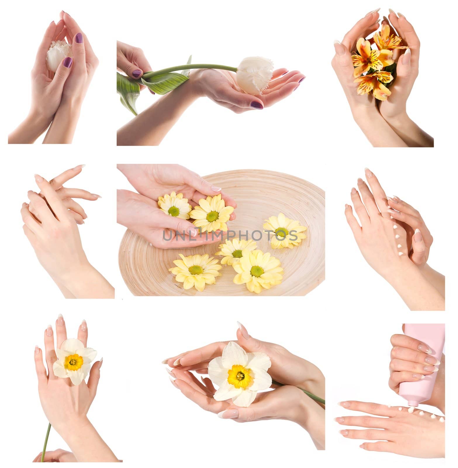 Collage of woman hands with manicure group photo isolated on white