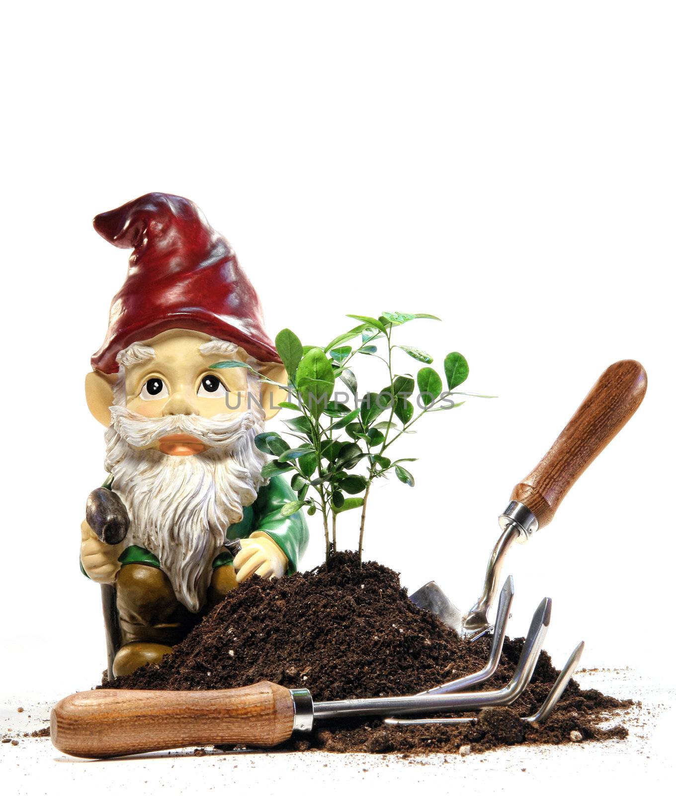 Garden gnome and tools for spring planting by Sandralise