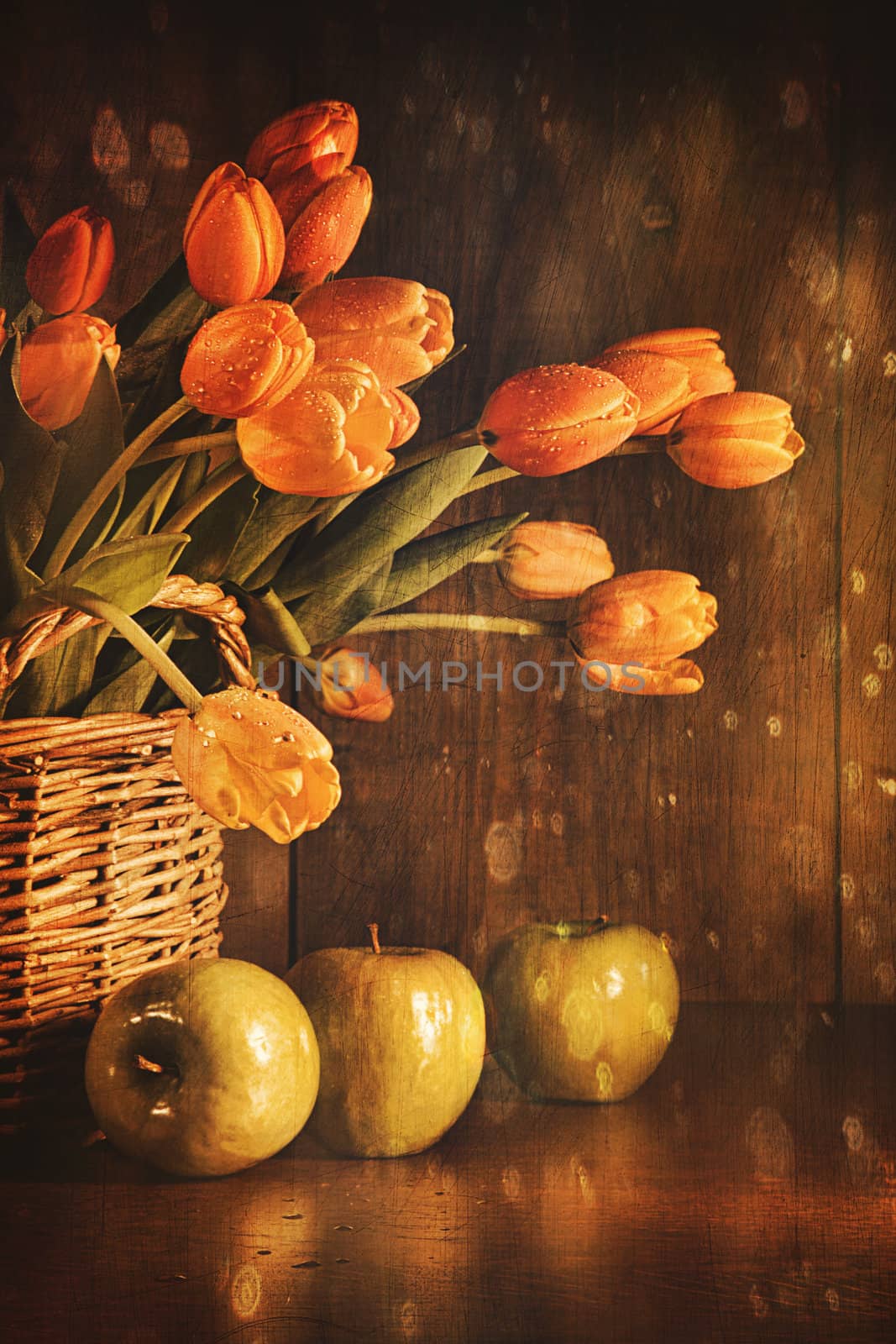 Spring tulips and with old vintage feeling