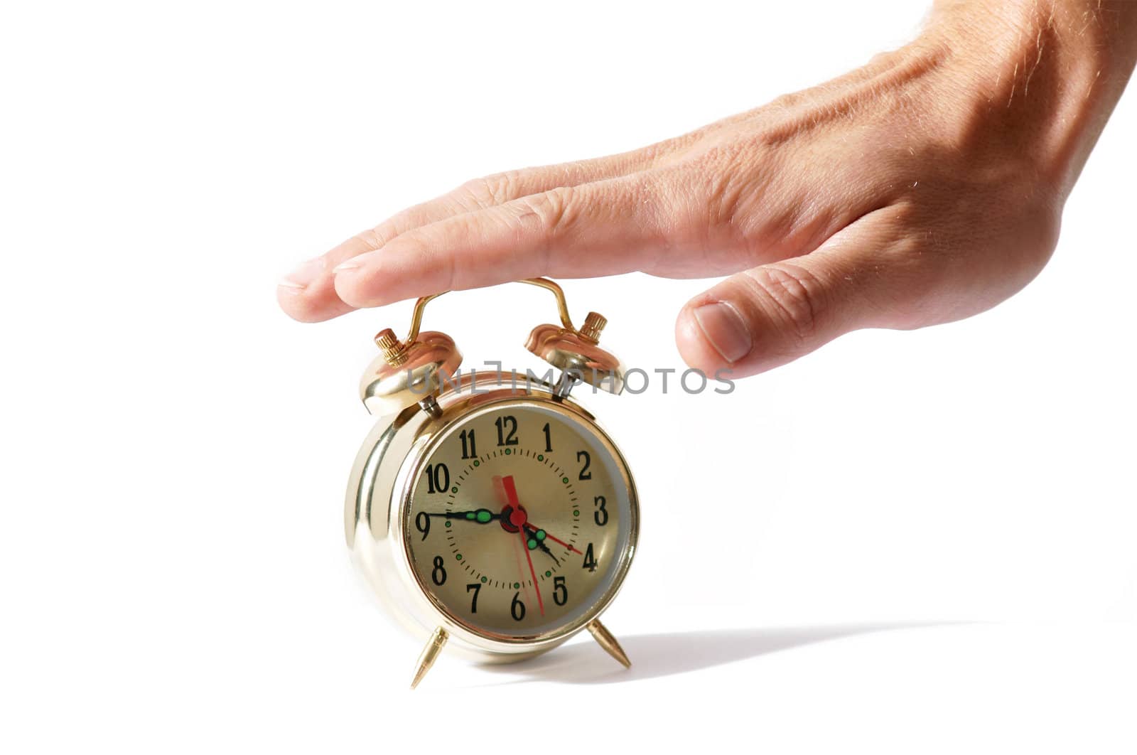 An image of alarm clock amd palm