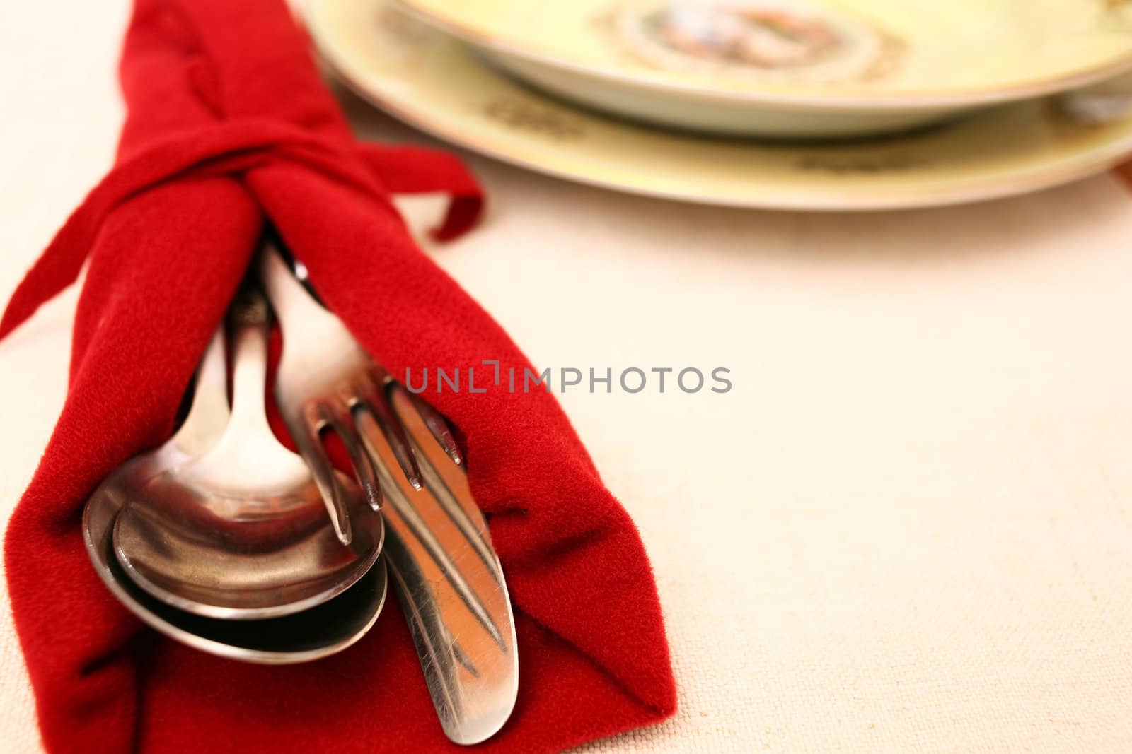 Stock Photo: Dinner Place Setting close up