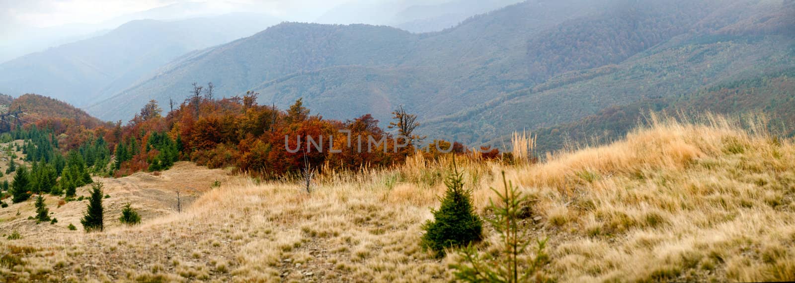 An image of late beautiful autumn in the mountains