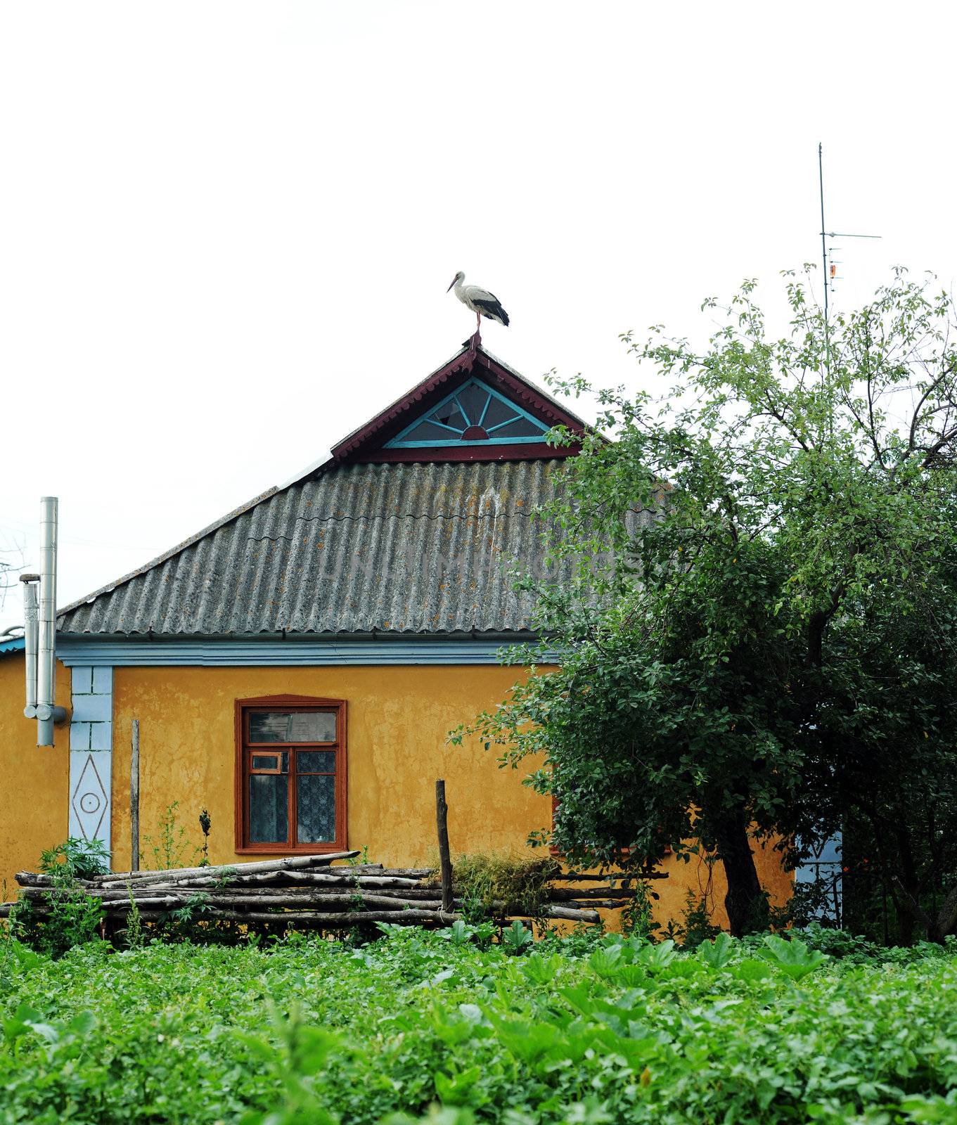 House and stork by velkol