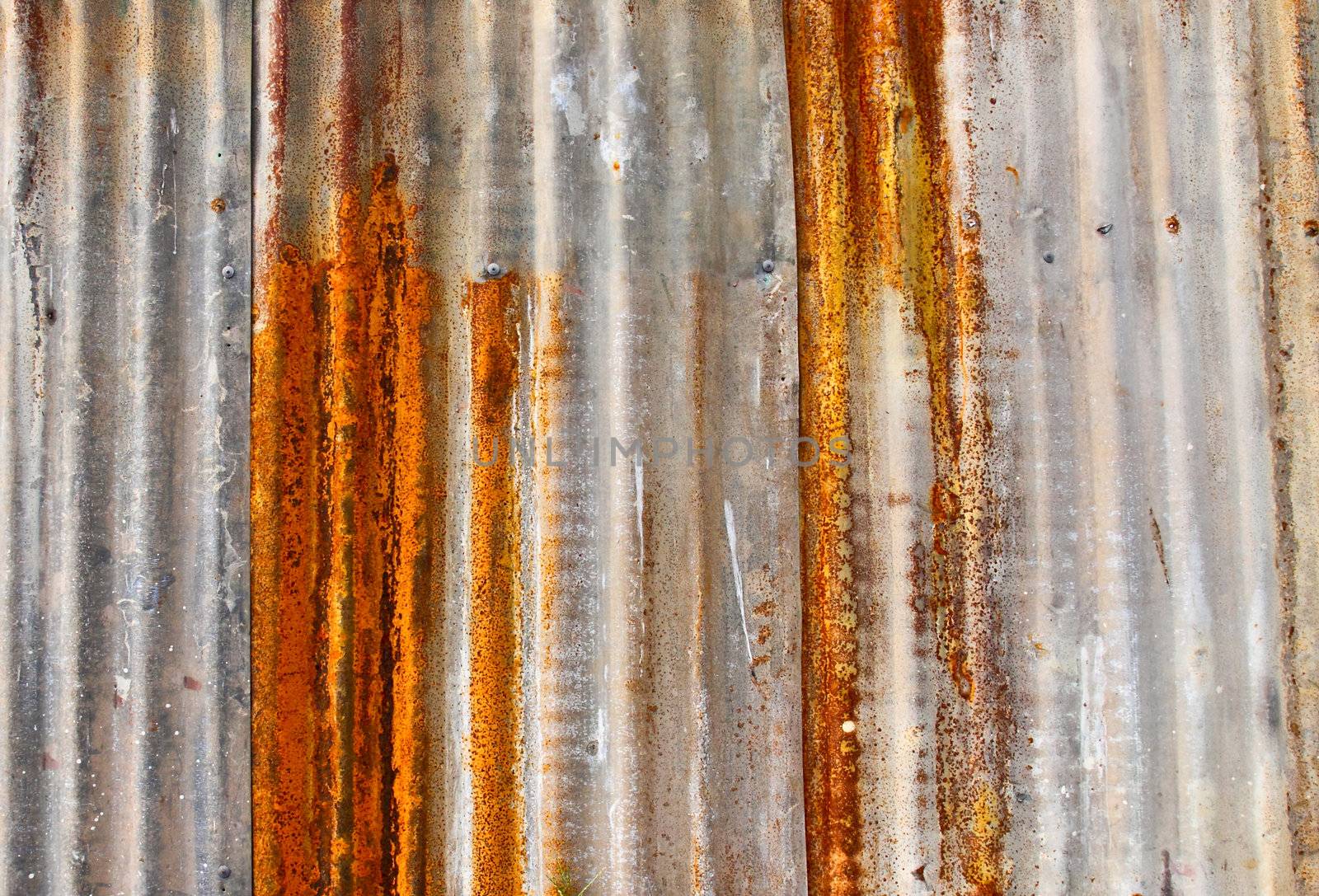 Old rusted corrugated metal wall