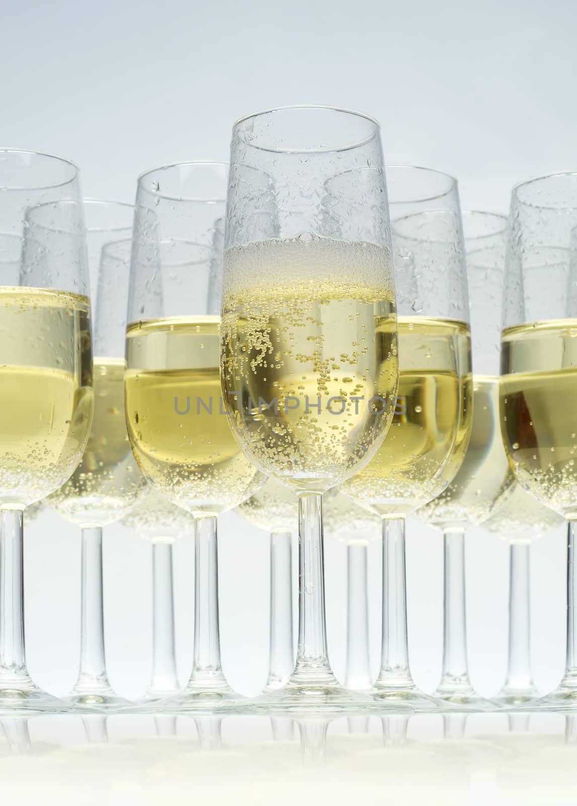 Glasses of champagne on white background