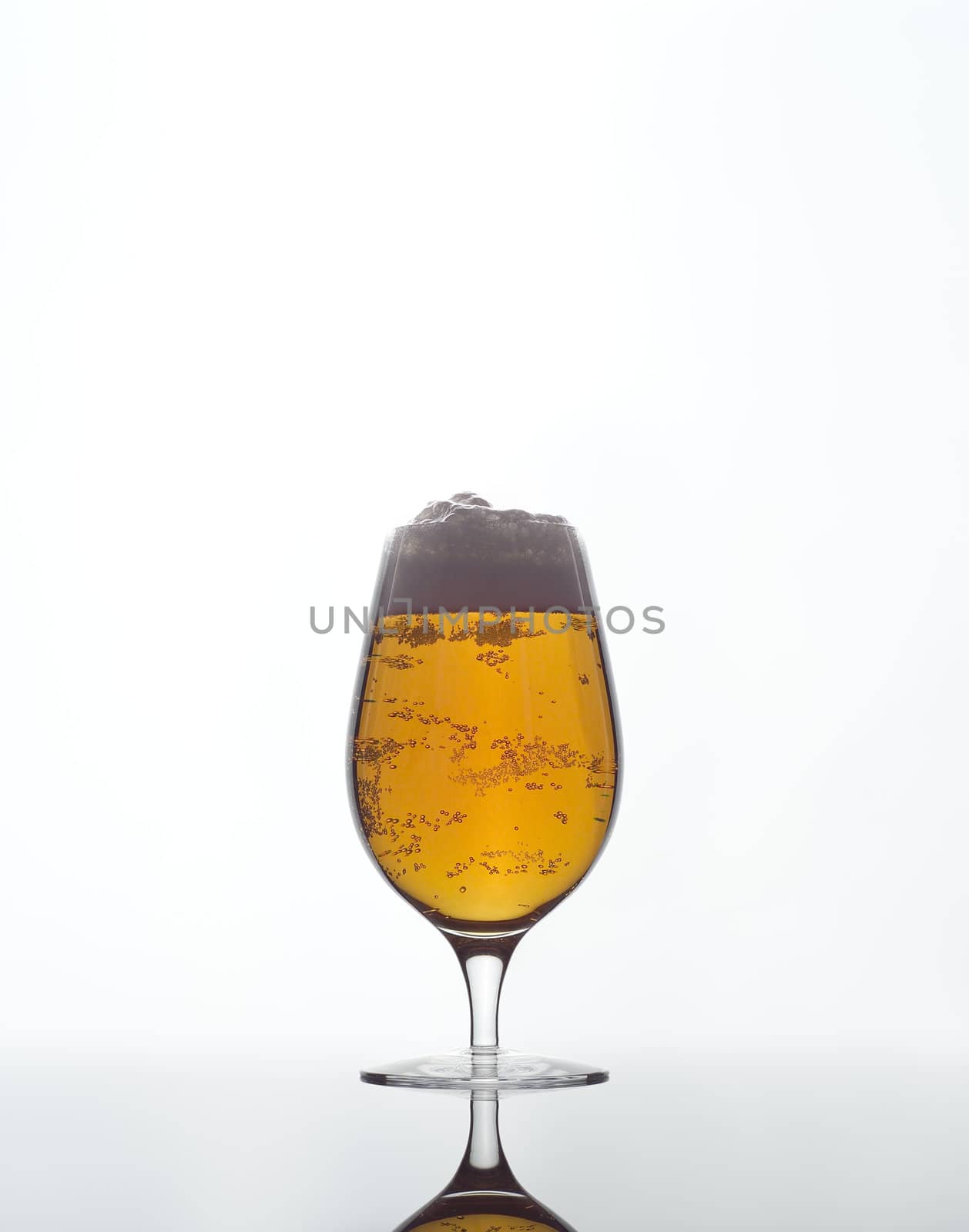 Glass of Beer on white background