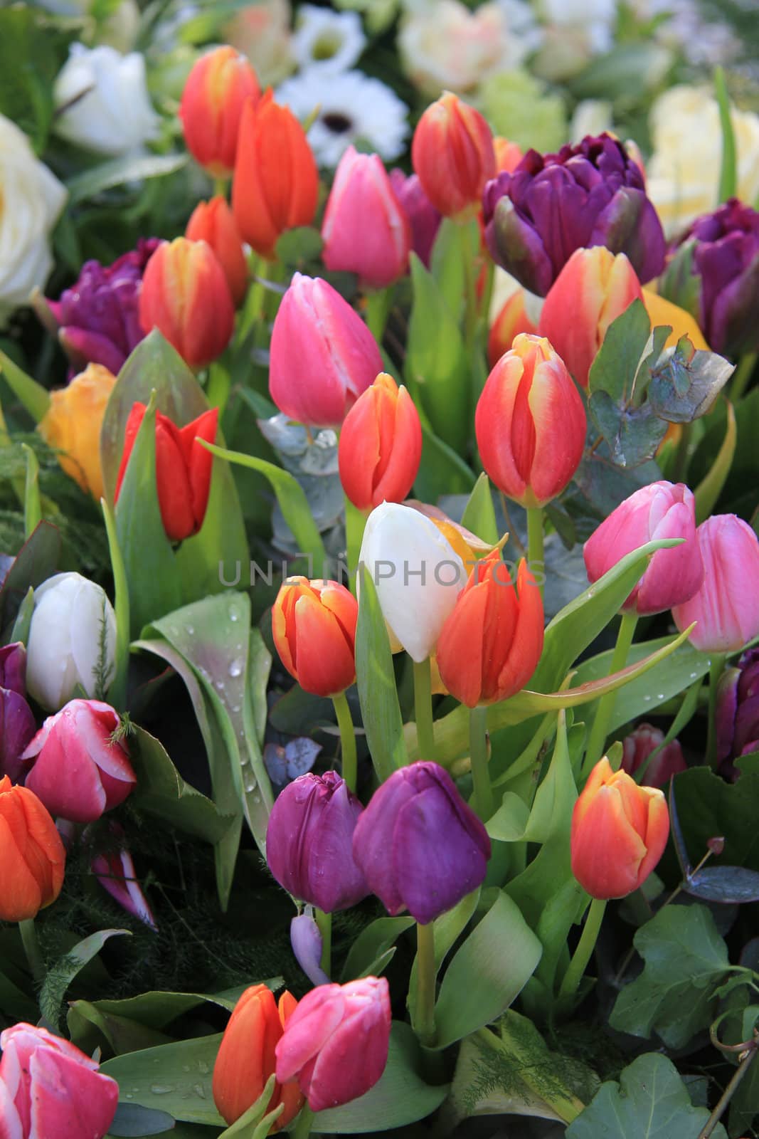 Colorful spring bouquet with tulips in various bright colors