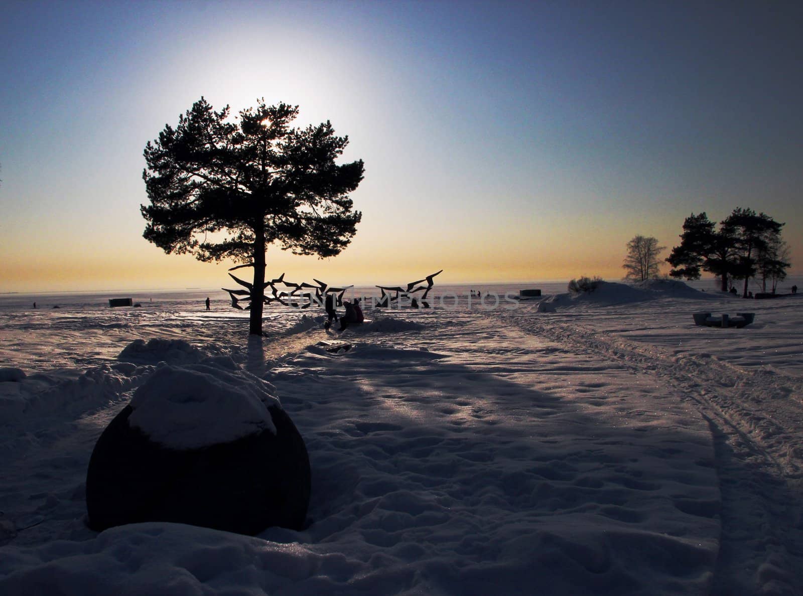 Winter landscape of a beach. One tree in the center. A lot of snow/