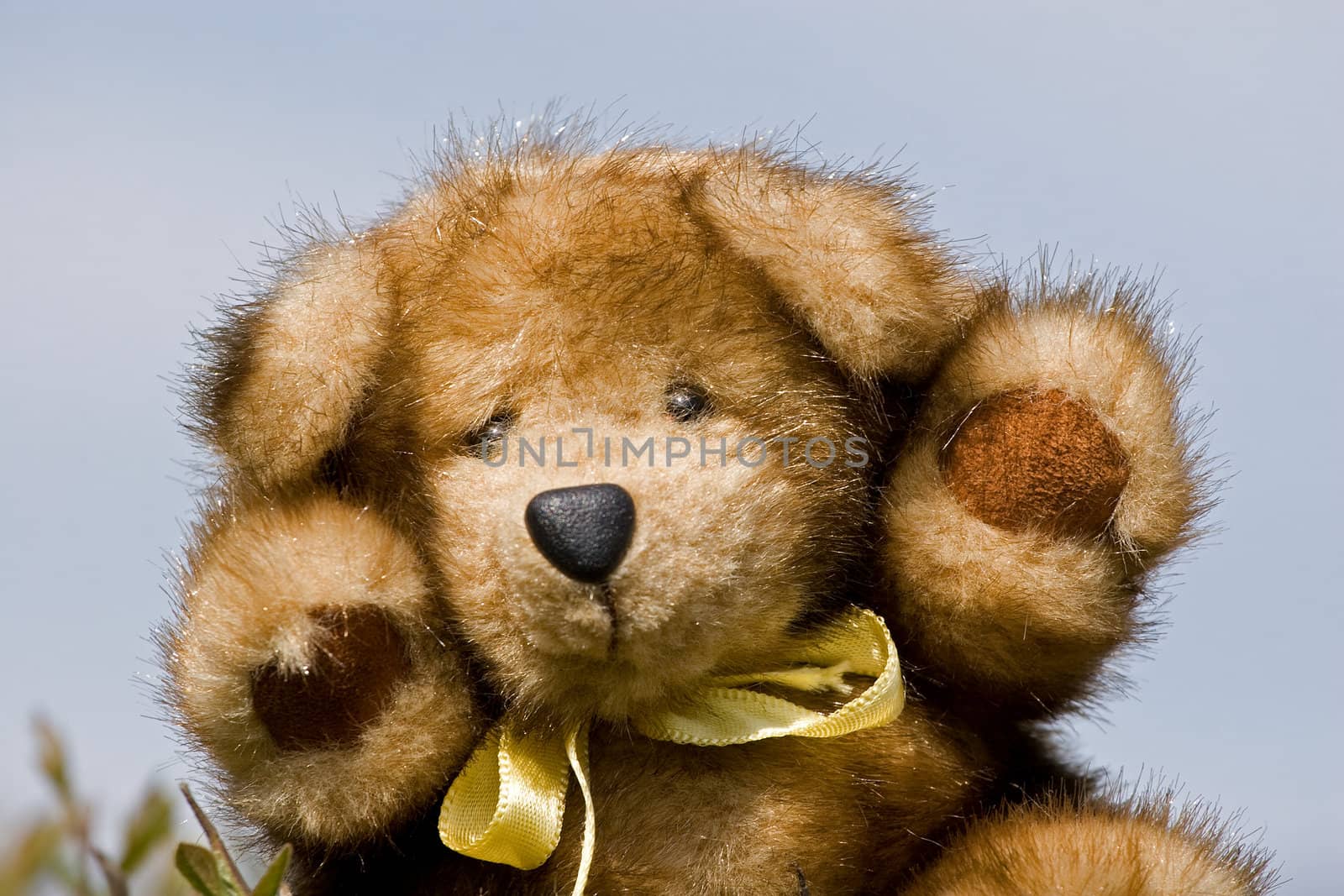 Teddy bear made by natural mink on sky background