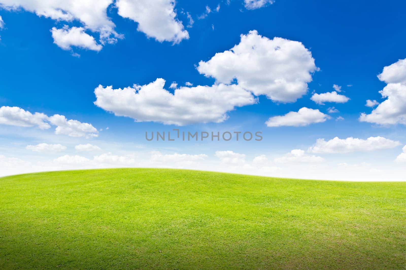 meadow against blue sky by tungphoto