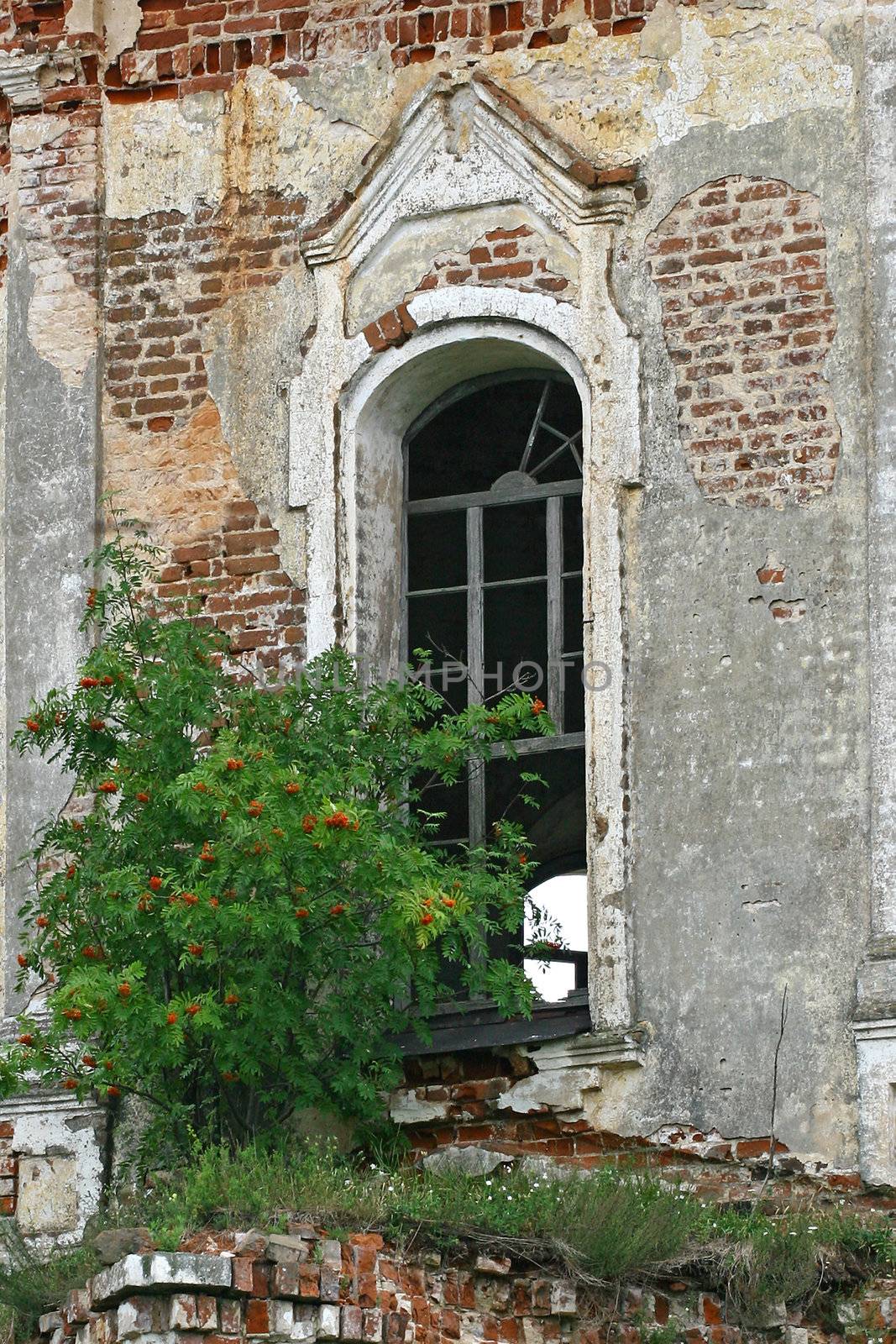 Old window