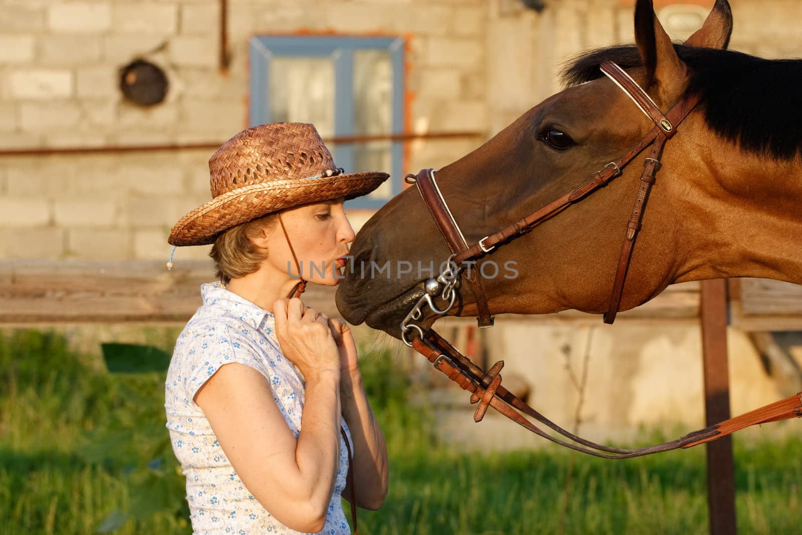 Woman in hat kissing a brown horse