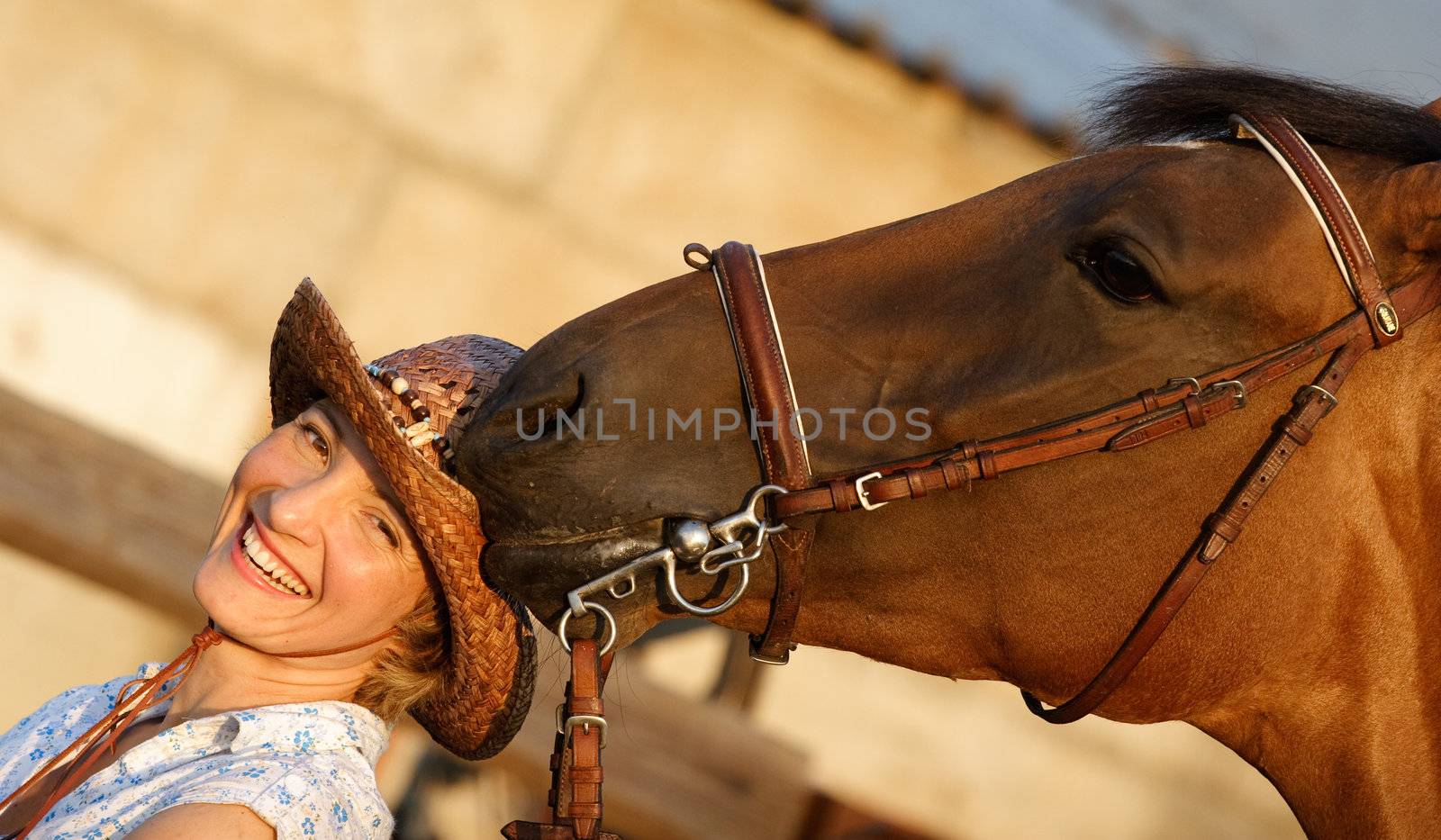 Horse try to eat a hat by gsdonlin