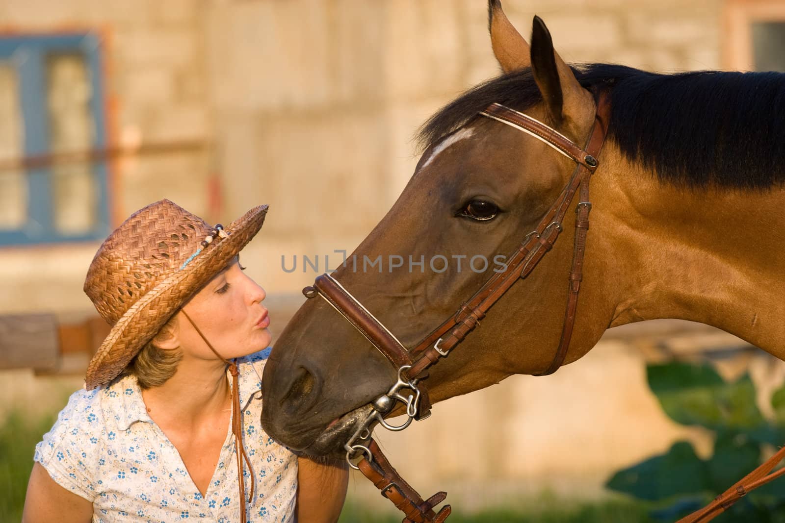 Woman in hat kissing brown horse
