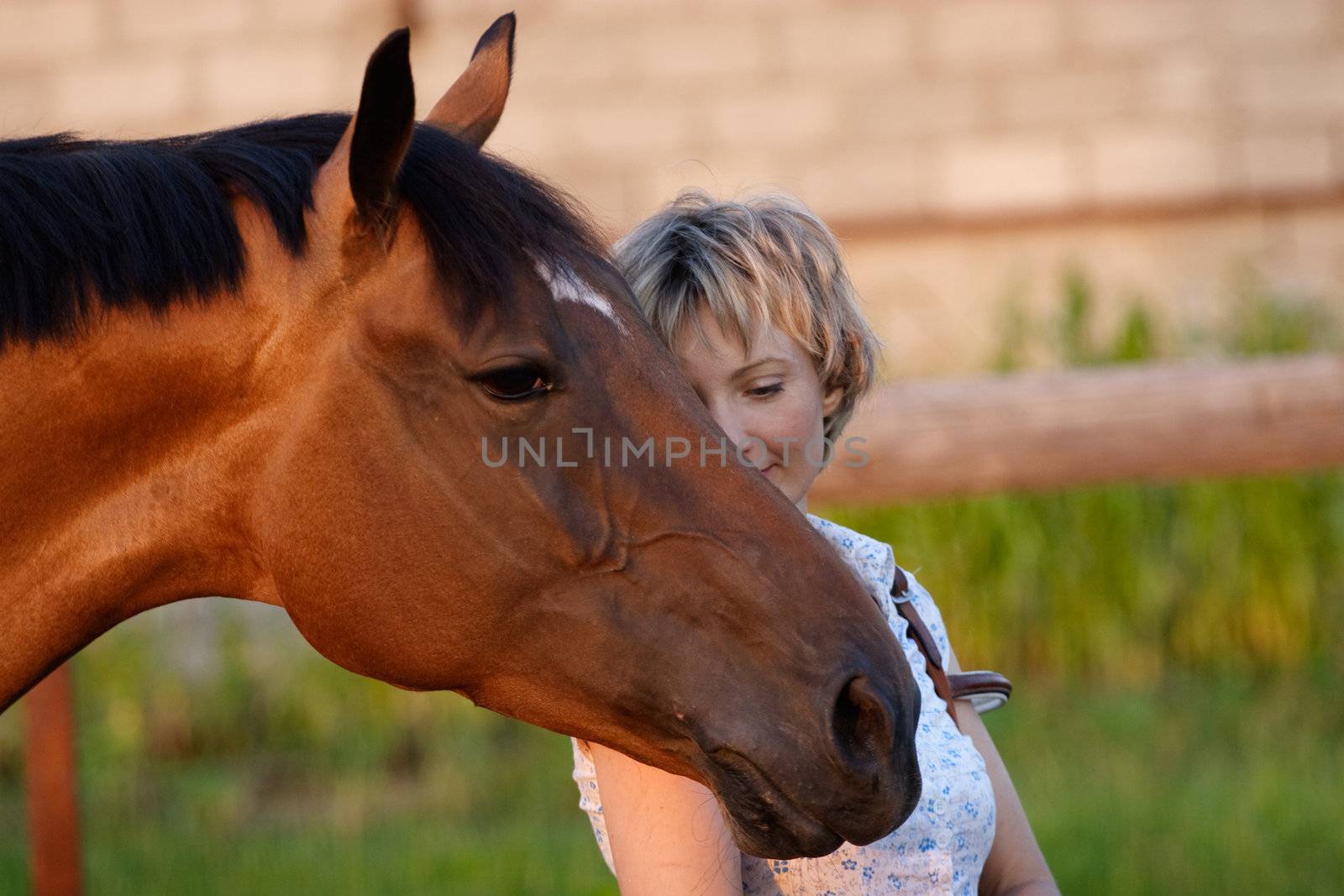 Big Horses head on womans shoulder