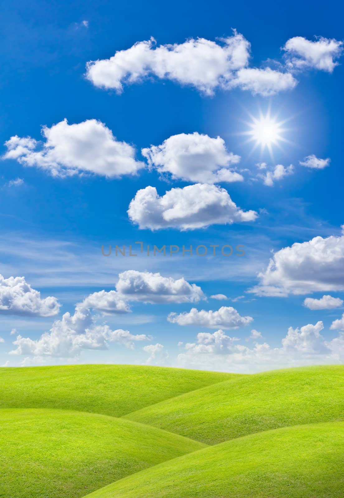 meadow against blue sky by tungphoto