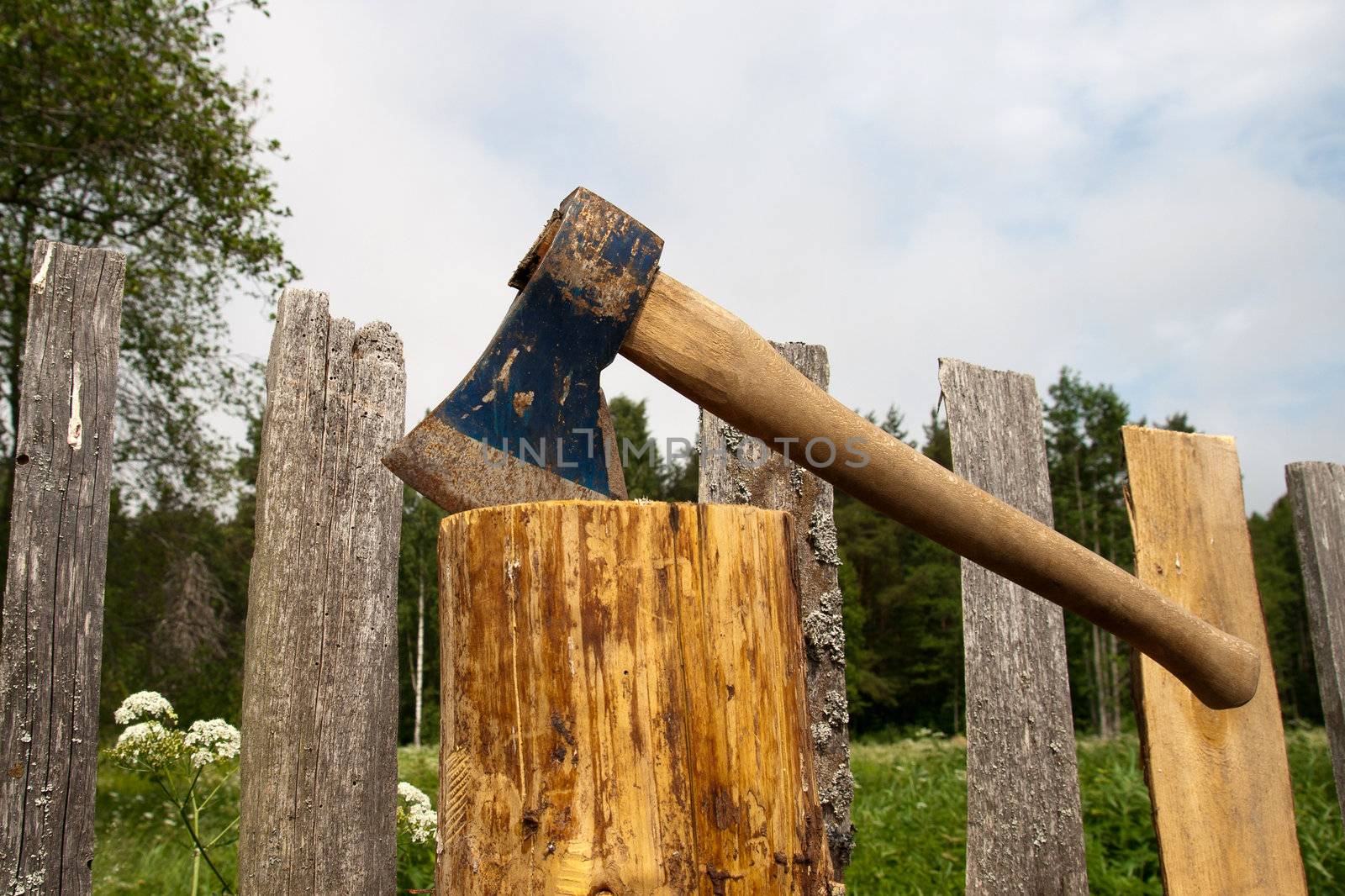 Axe in log after an old wooden fence repair