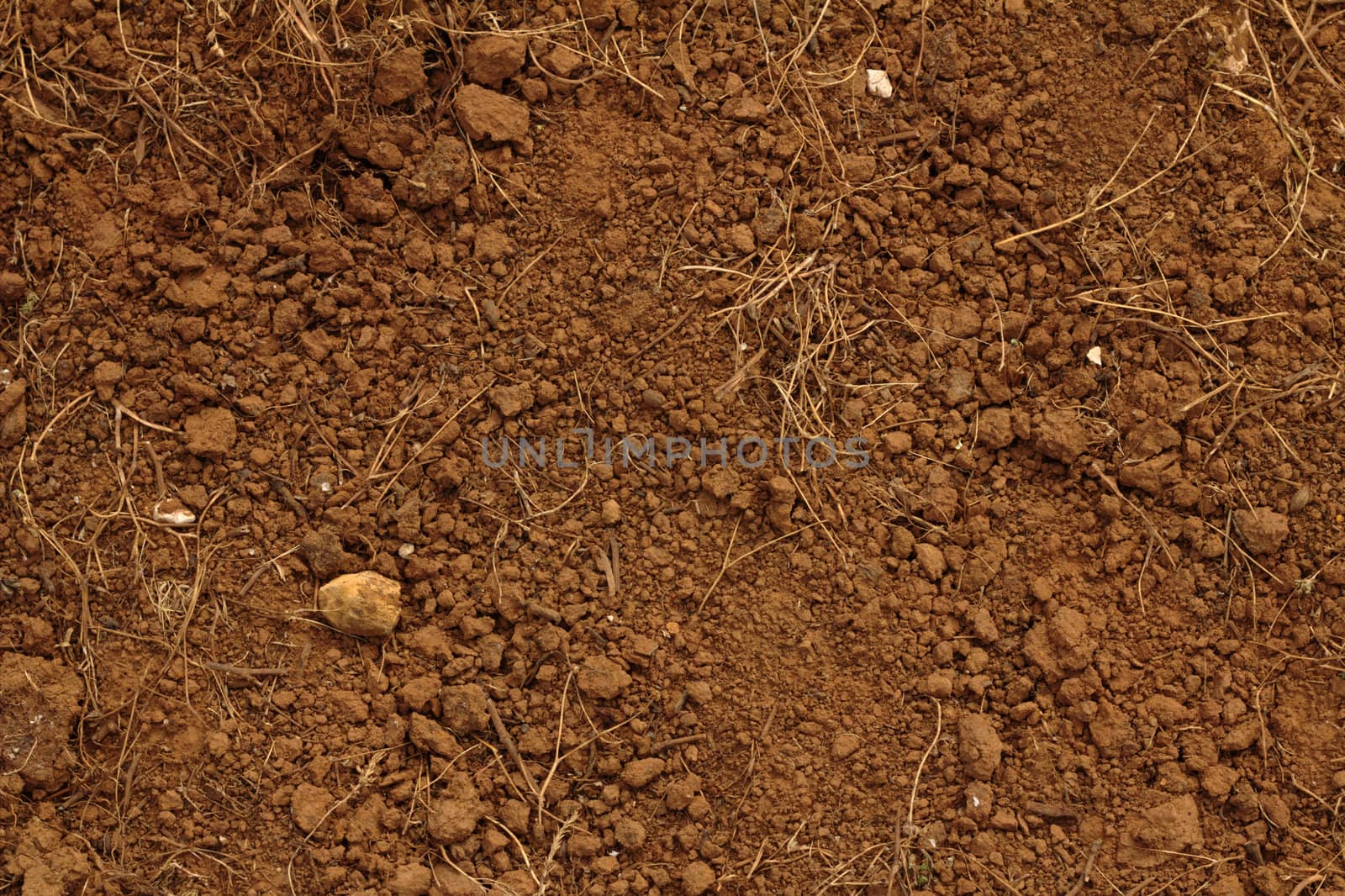 Red soil, with stones.