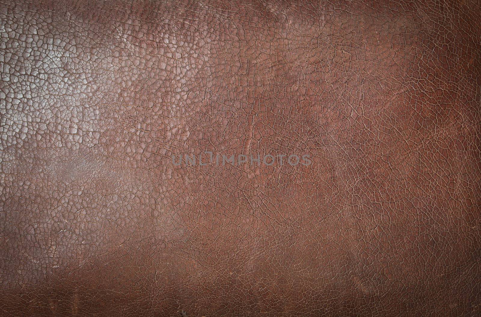 texture of brown leather for background