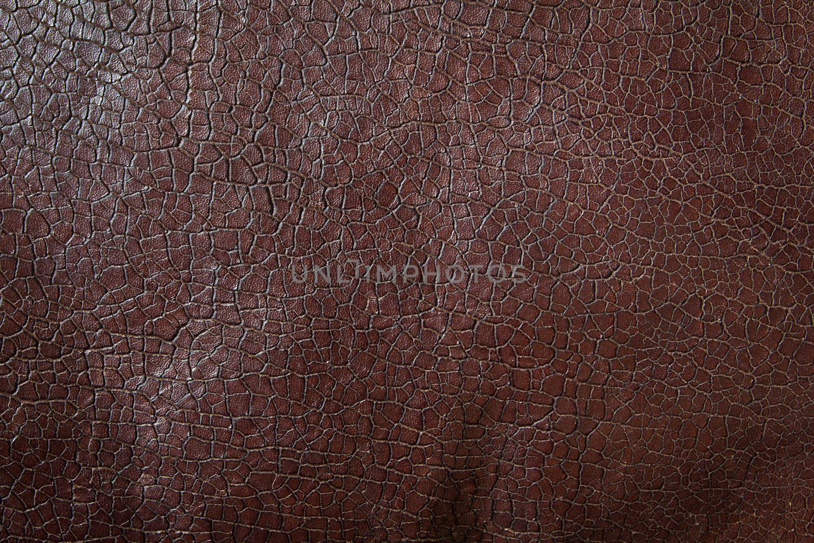 texture of brown leather  by tungphoto