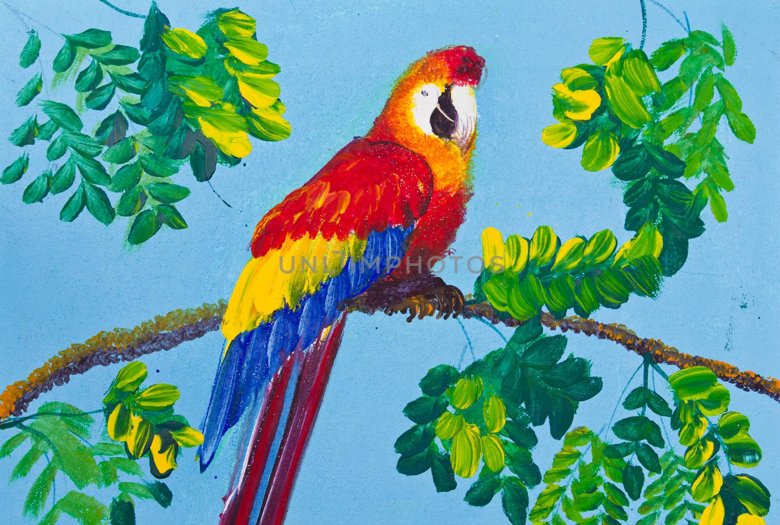poster color drawing red macaw by tungphoto