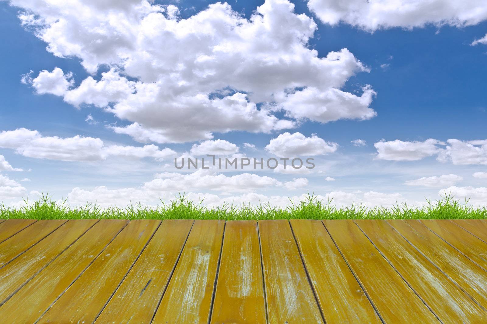 wood floor and blue sky