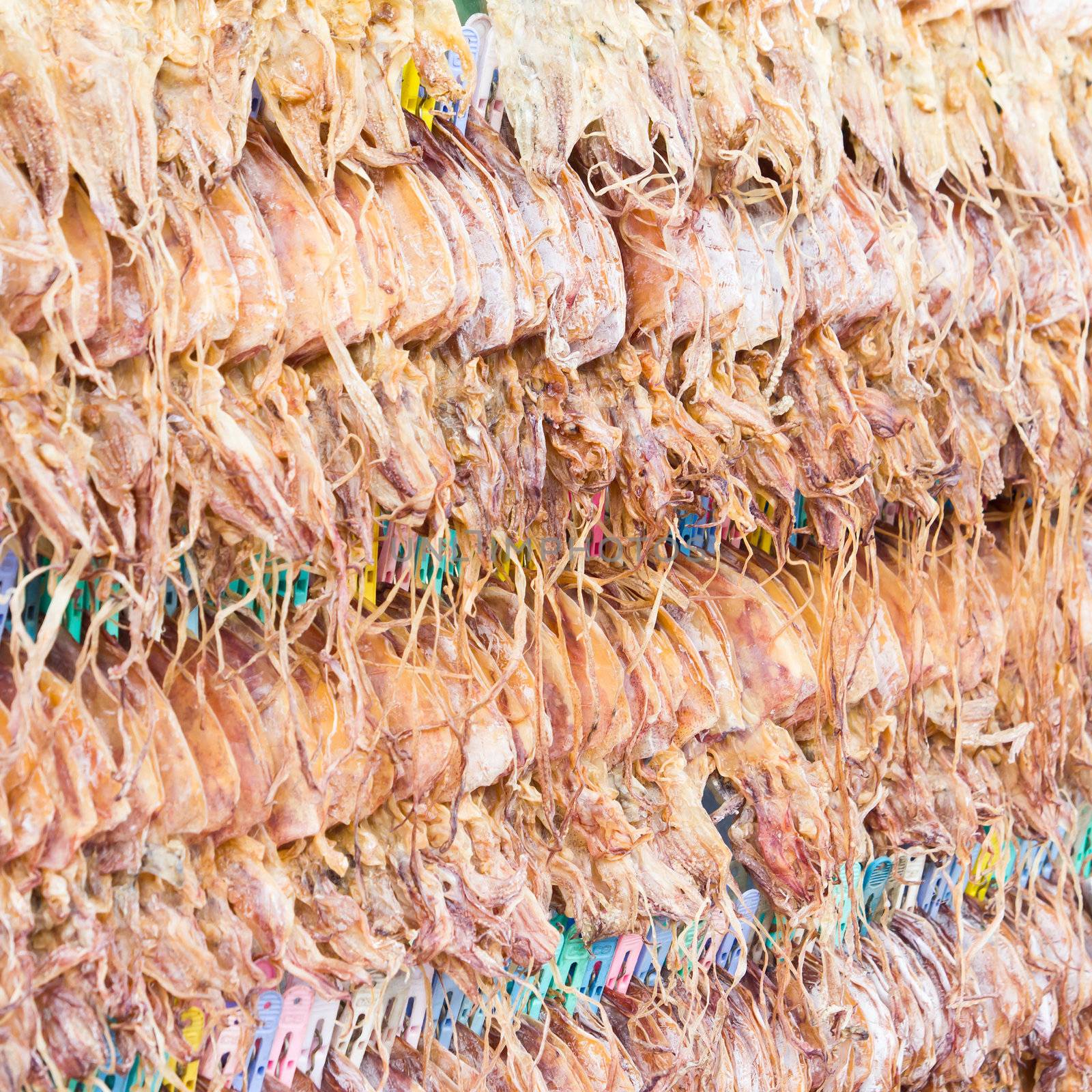 Dried Squid showing for sell by tungphoto