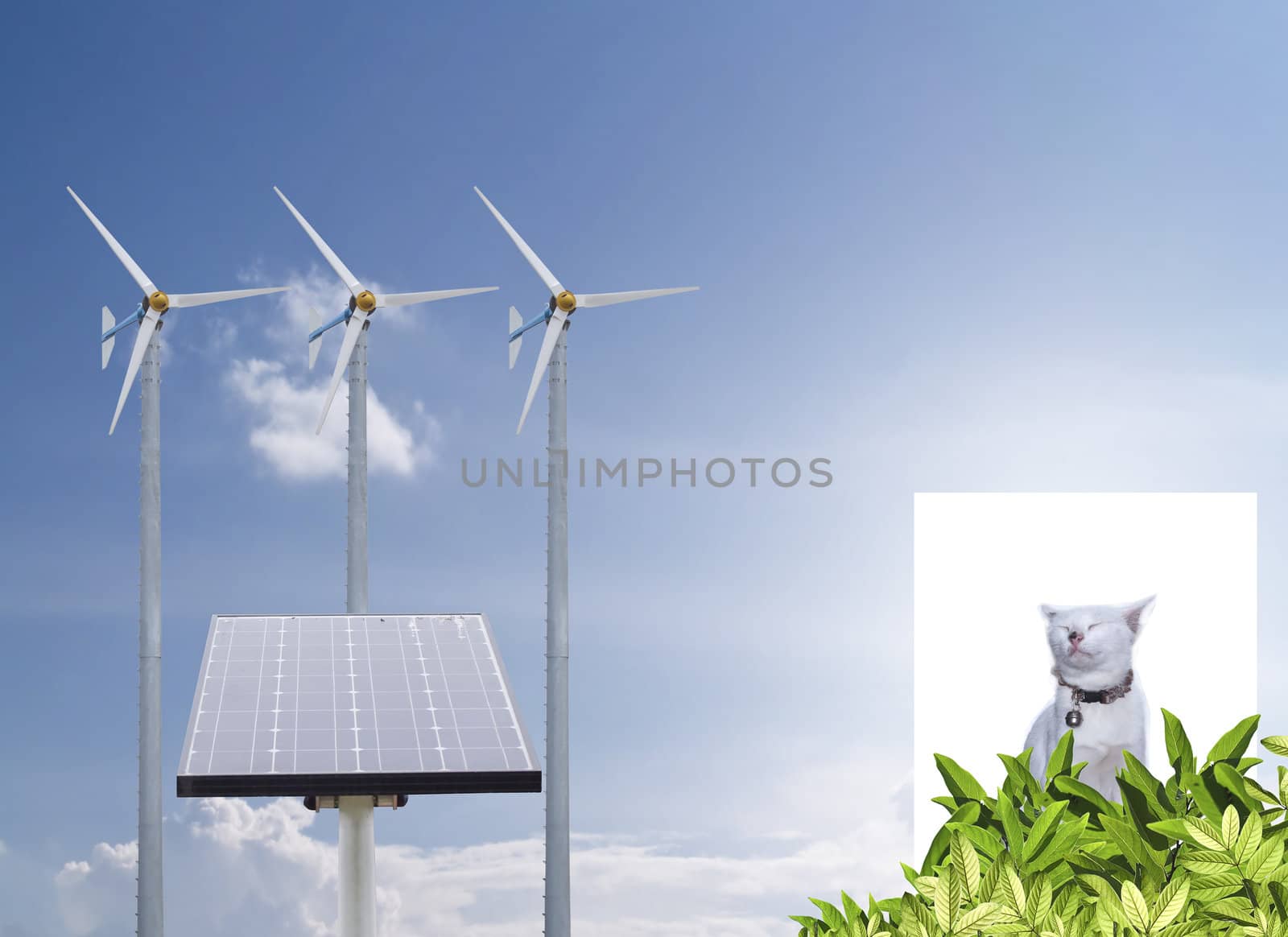 Alternative energy with little cat breathing pure fresh air