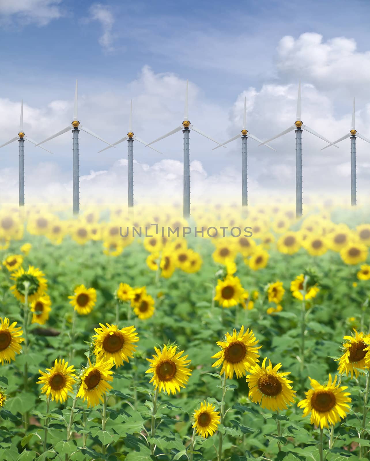 Alternative energy with sunflowers and pure fresh air
